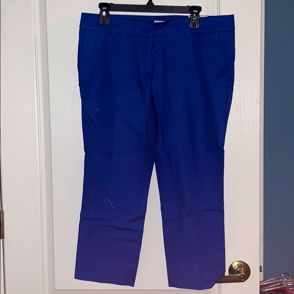 NWT Blue Capri Dress Pants size 12